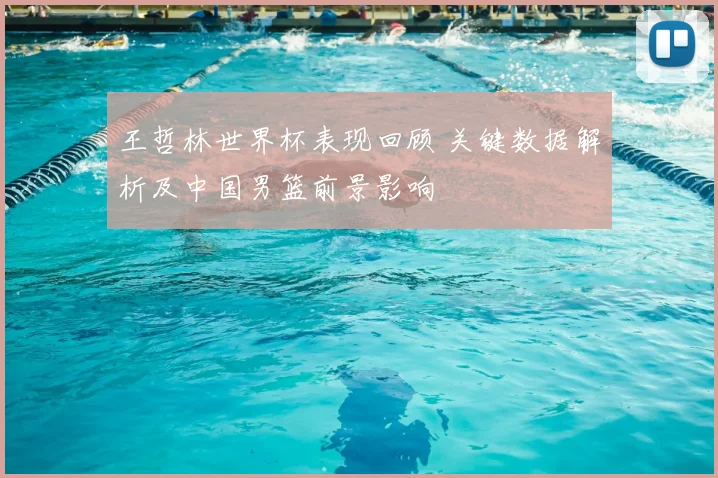 王哲林世界杯表现回顾 关键数据解析及中国男篮前景影响