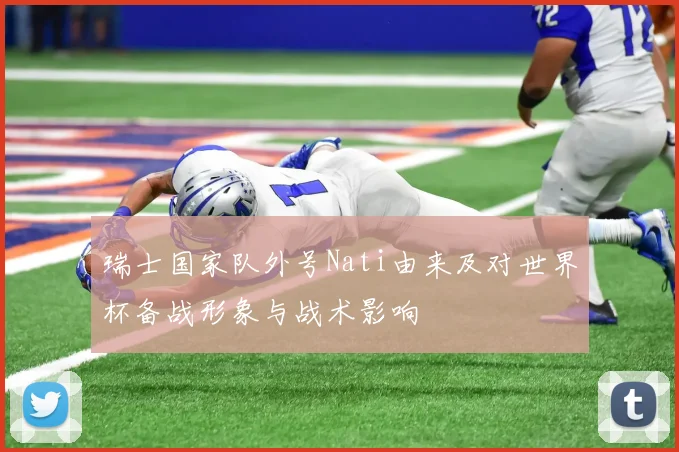 瑞士国家队外号Nati由来及对世界杯备战形象与战术影响