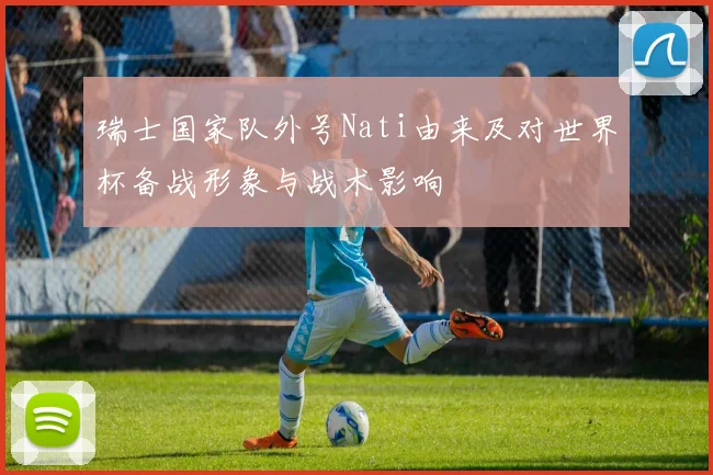 瑞士国家队外号Nati由来及对世界杯备战形象与战术影响