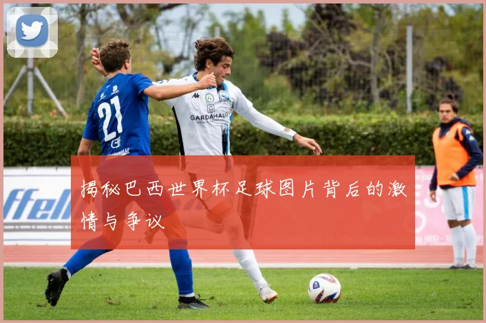揭秘巴西世界杯足球图片背后的激情与争议