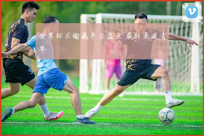 世界杯买输赢平台盘点 最新渠道清单