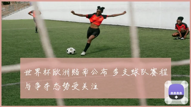 世界杯欧洲赔率公布 多支球队赛程与争夺态势受关注
