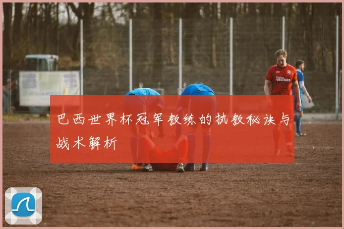 巴西世界杯冠军教练的执教秘诀与战术解析