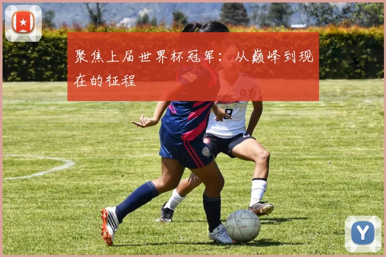 聚焦上届世界杯冠军:从巅峰到现在的征程