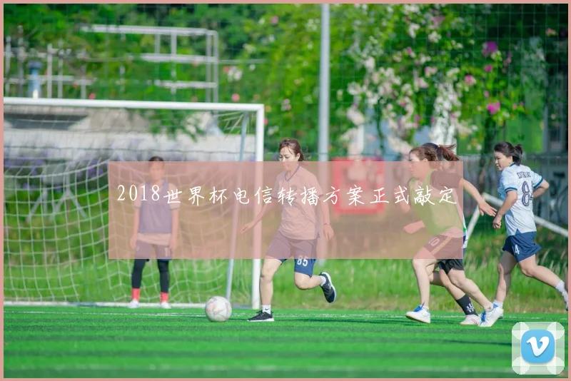 2018世界杯电信转播方案正式敲定