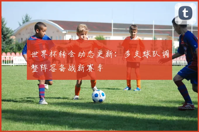 世界杯转会动态更新:多支球队调整阵容备战新赛季
