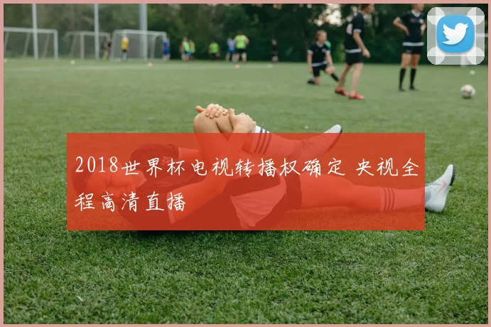 2018世界杯电视转播权确定 央视全程高清直播