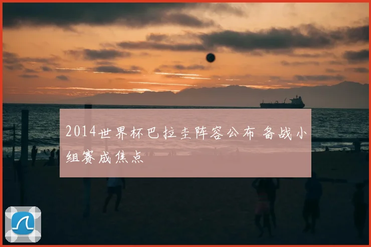 2014世界杯巴拉圭阵容公布 备战小组赛成焦点