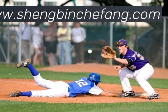 leyu乐鱼在线登录最新官网平台生态图